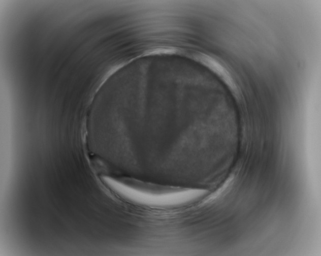 X0000095921377200802081104