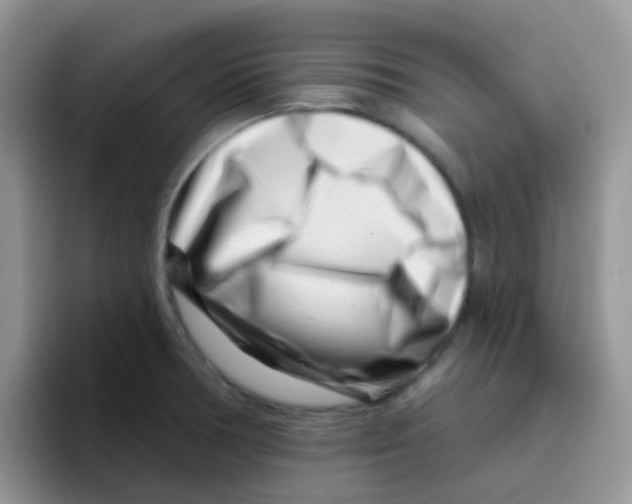 X0000095921378200802081104