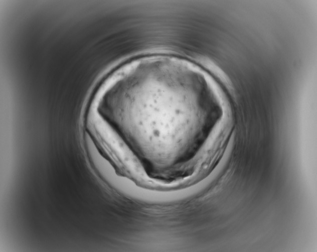 X0000095921380200802081104