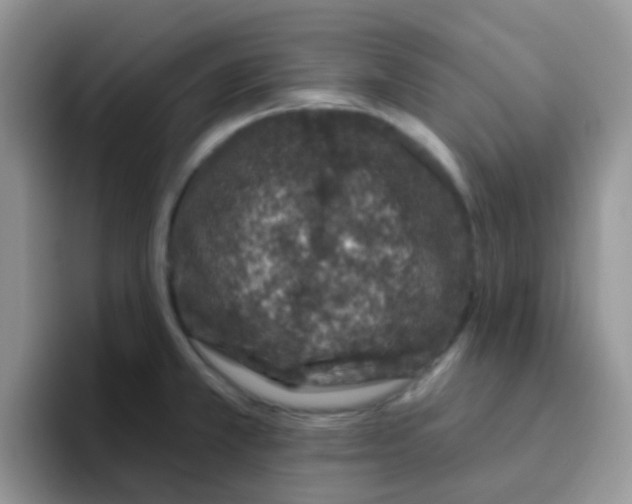 X0000095921381200802081104