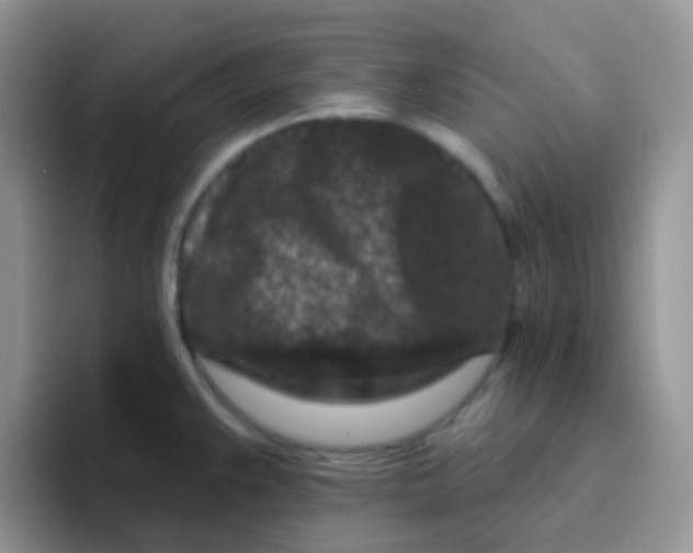 X0000095921383200802081104