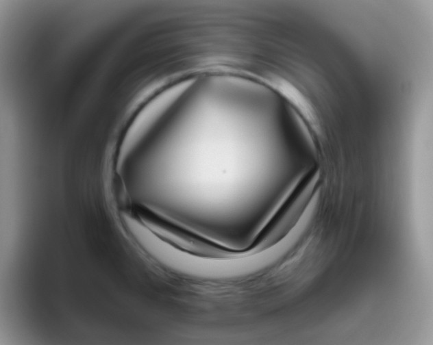 X0000095921384200802081104