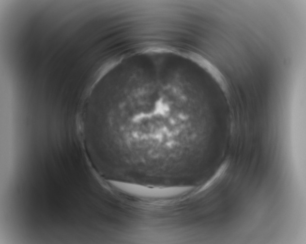 X0000095921385200802081104