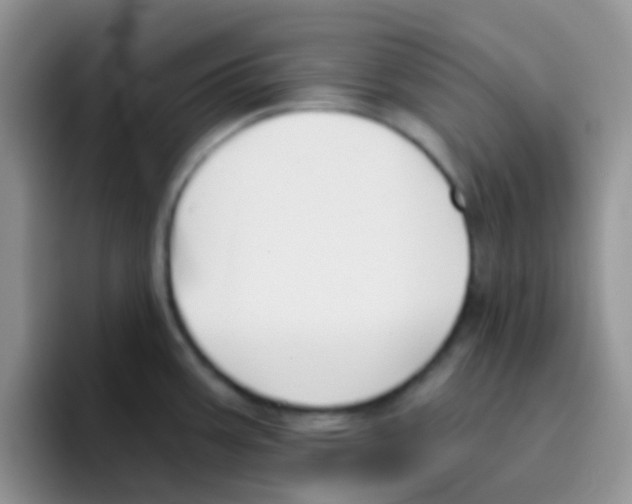 X0000095921387200802081104