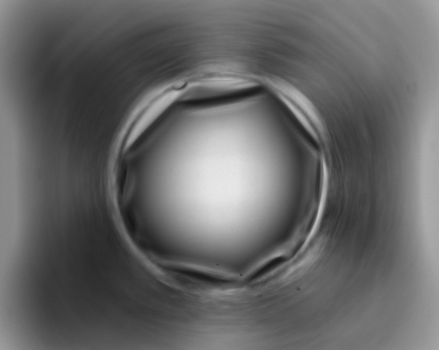 X0000095921389200802081104