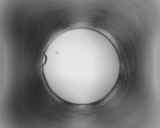 X0000095921390200802081104