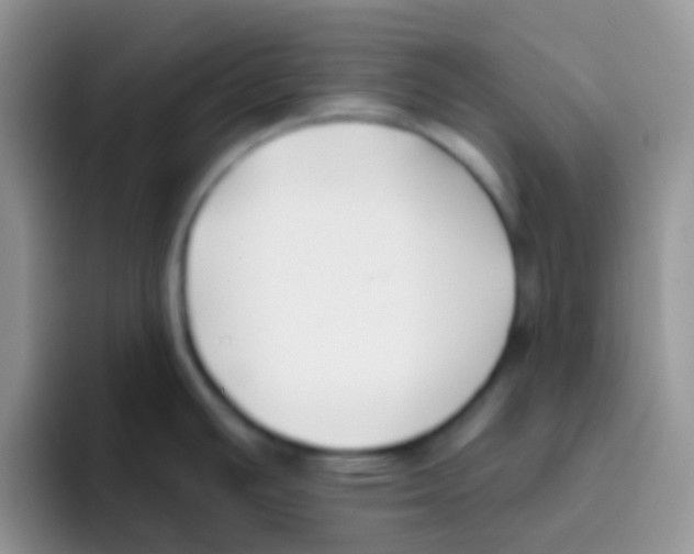 X0000095921391200802081104