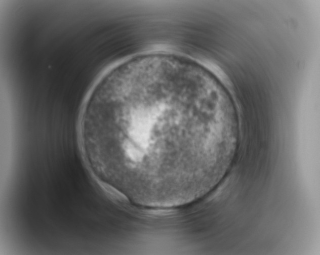 X0000095921392200802081104