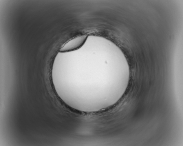 X0000095921393200802081103