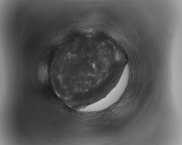 X0000095921394200802081104