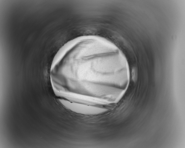 X0000095921395200802081104