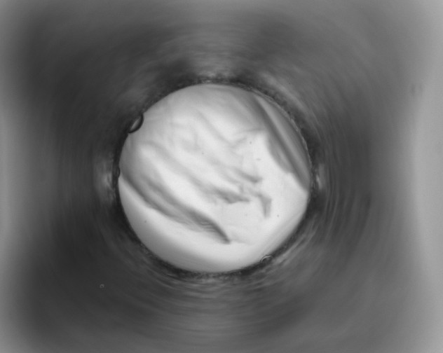 X0000095921396200802081104