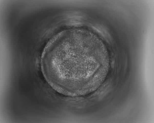 X0000095921397200802081104