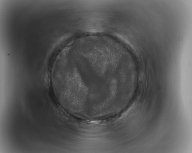 X0000095921398200802081104