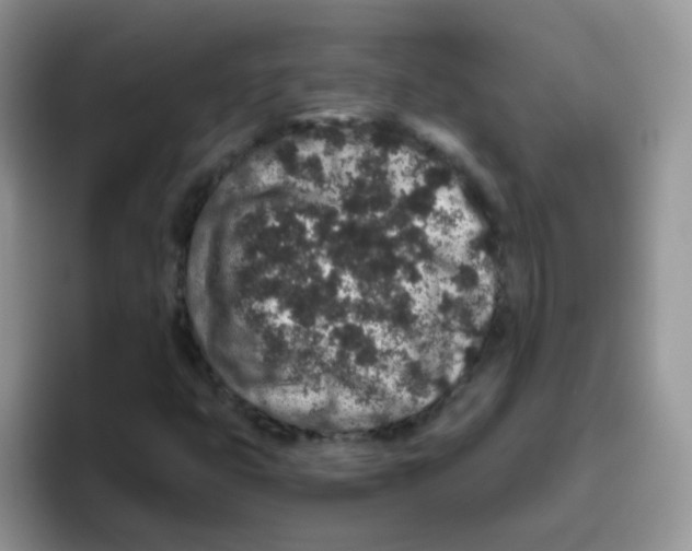 X0000095921399200802081104