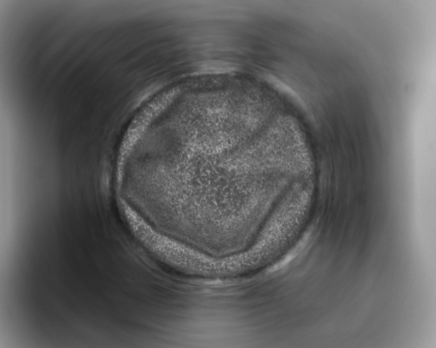 X0000095921401200802081104