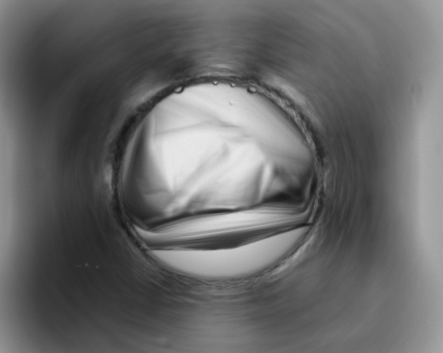 X0000095921402200802081104