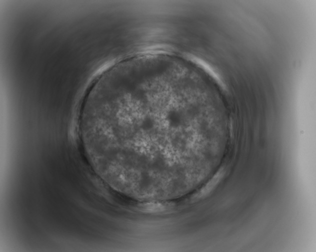 X0000095921405200802081104