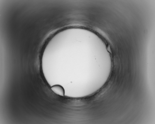 X0000095921408200802081104