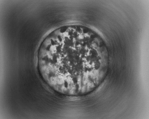 X0000095921413200802081104