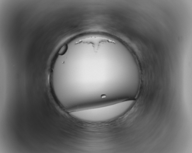 X0000095921416200802081104