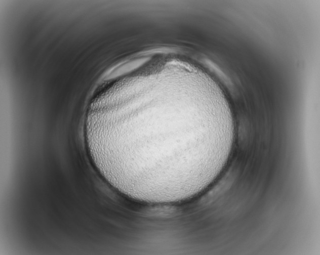 X0000095921417200802081104