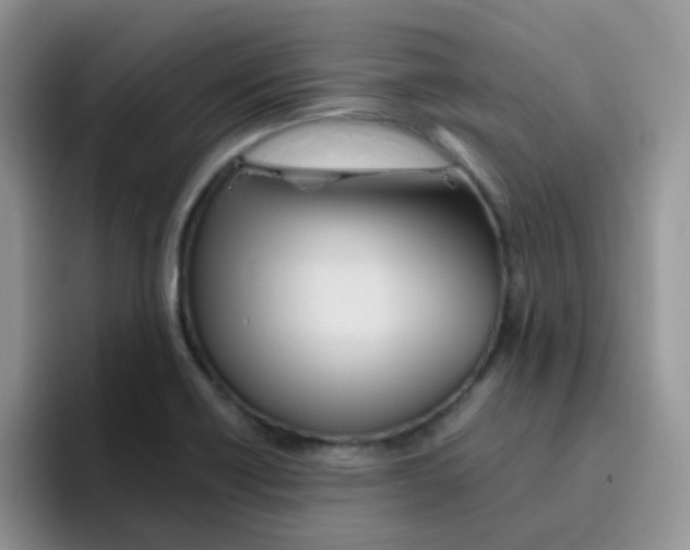 X0000095921418200802081104