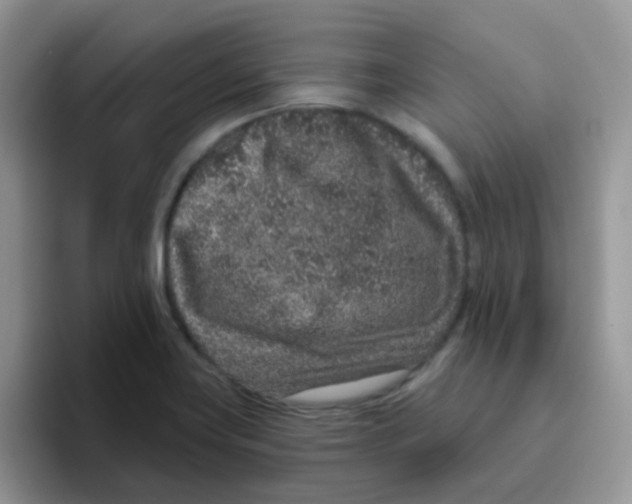 X0000095921419200802081104