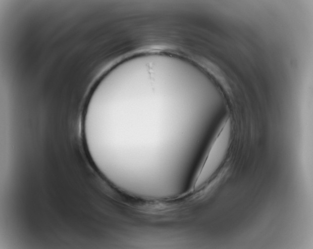 X0000095921420200802081104