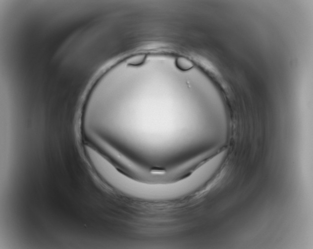 X0000095921421200802081104