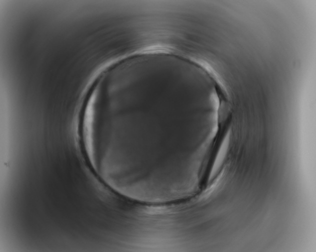 X0000095921422200802081104