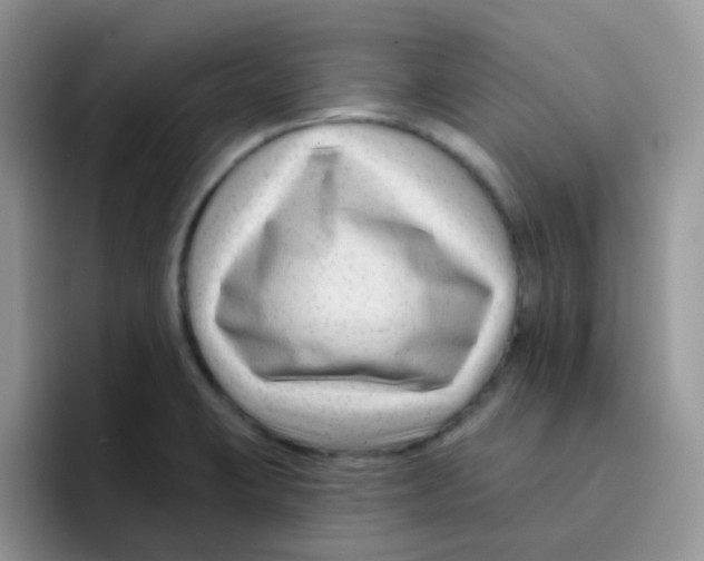 X0000095921423200802081104