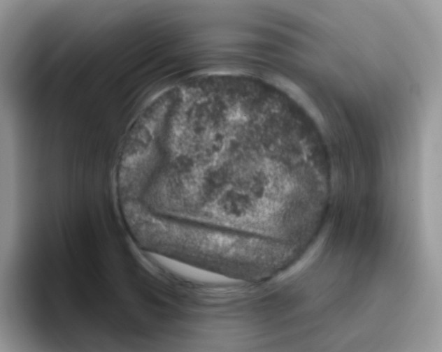 X0000095921425200802081104