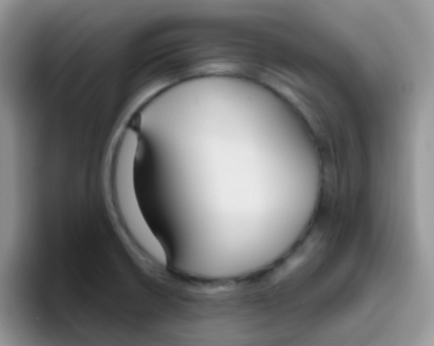 X0000095921426200802081104