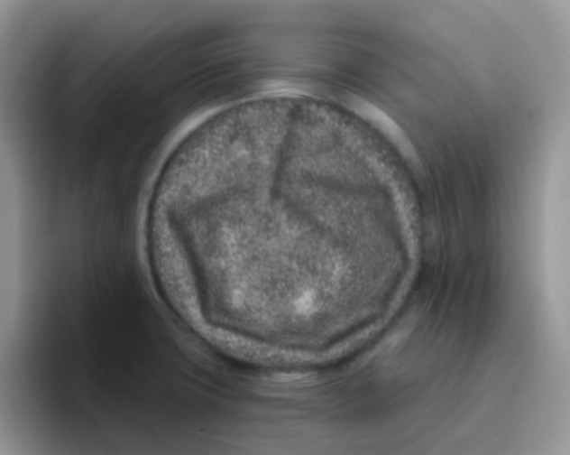 X0000095921427200802081104