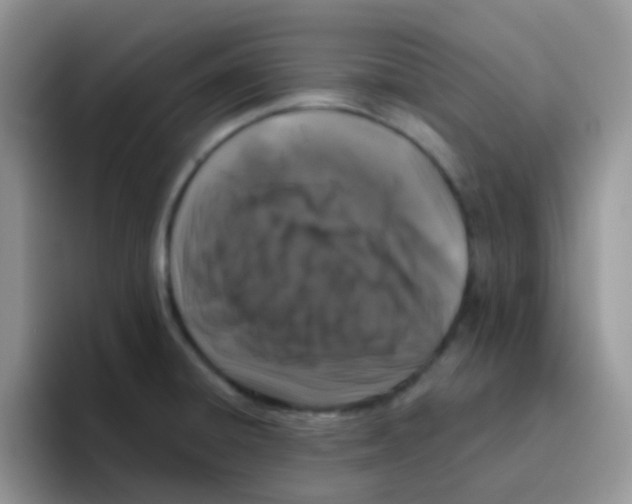 X0000095921428200802081104