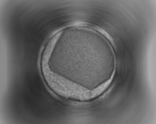 X0000095921429200802081104