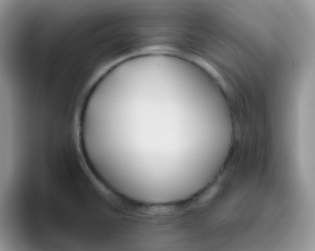 X0000095921430200802081104