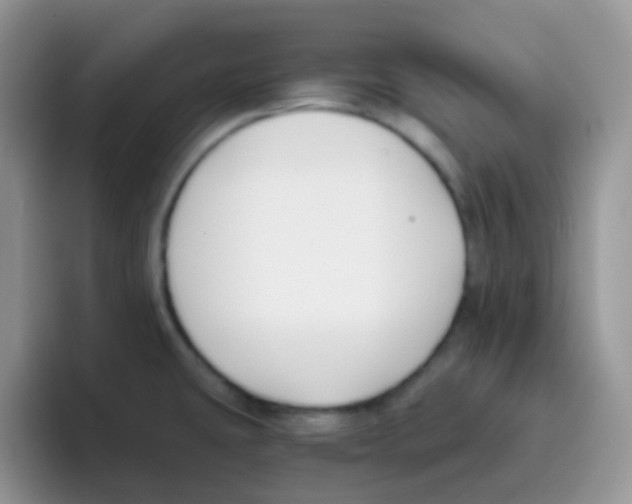 X0000095921431200802081104