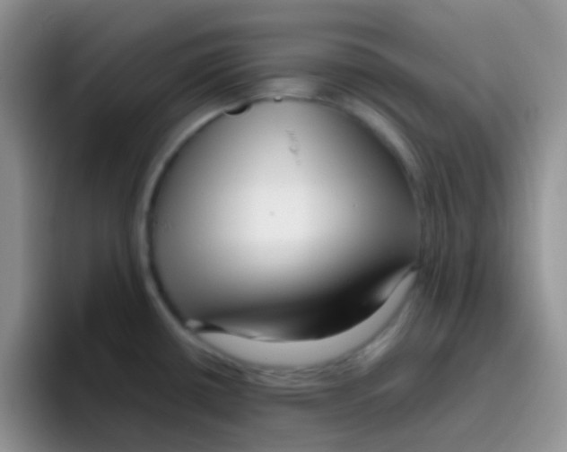 X0000095921434200802081104