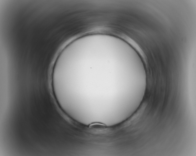 X0000095921437200802081104