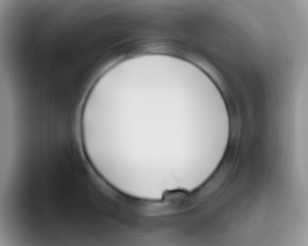 X0000095921439200802081104