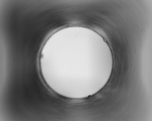 X0000095921440200802081104