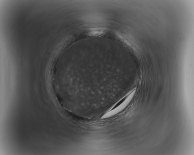 X0000095921441200802081103