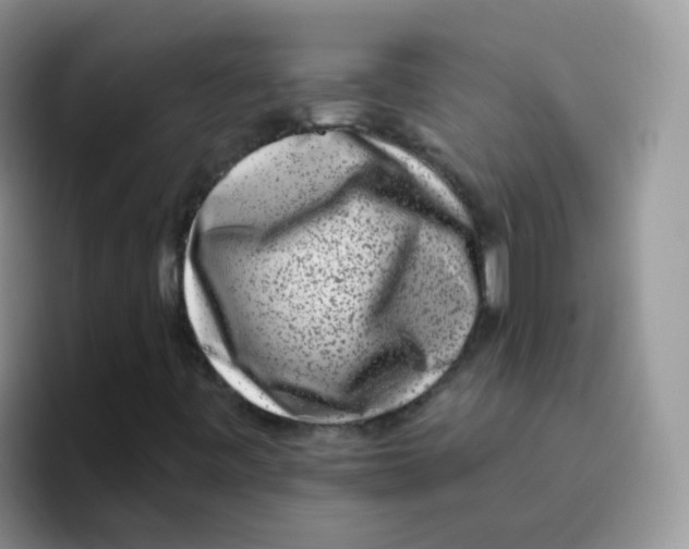 X0000095921443200802081103