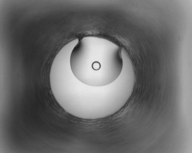 X0000095921444200802081103