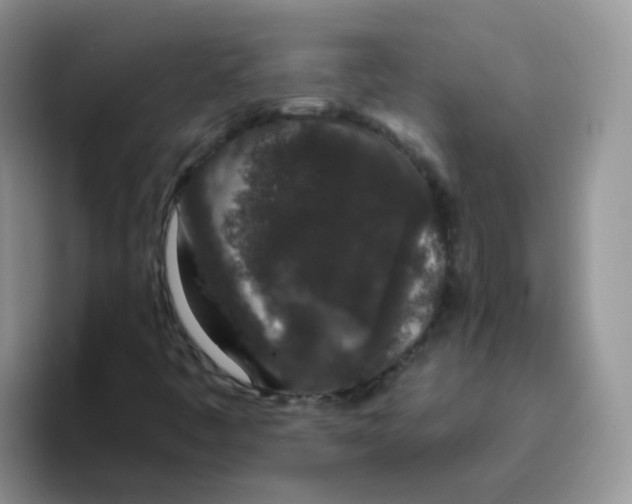 X0000095921445200802081103