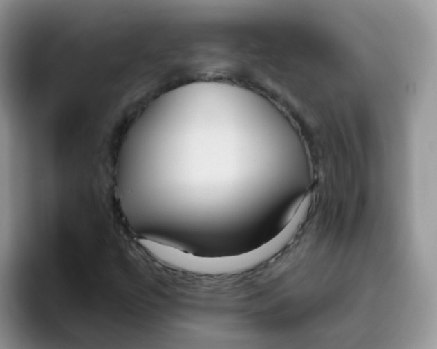 X0000095921447200802081103