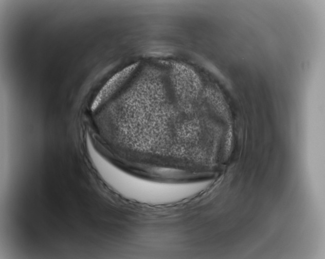 X0000095921448200802081103