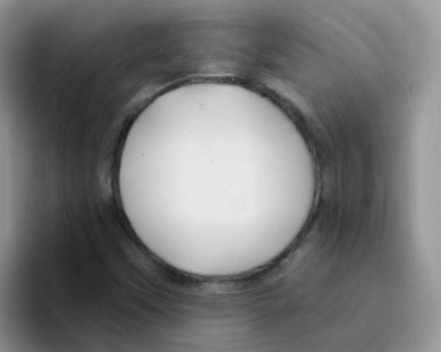 X0000095921451200802081103